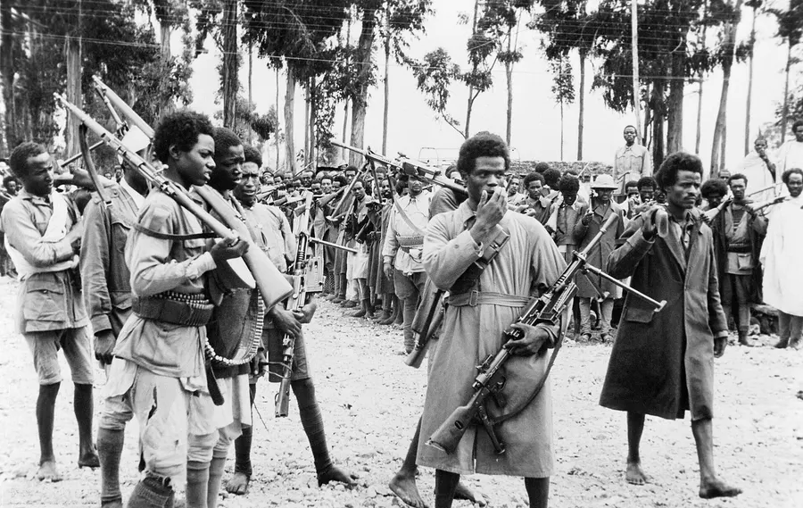 Ethiopian men, armed with captured Italian weapons, gather in Addis Ababa in May 1941 to hear the proclamation of the Emperor's return.