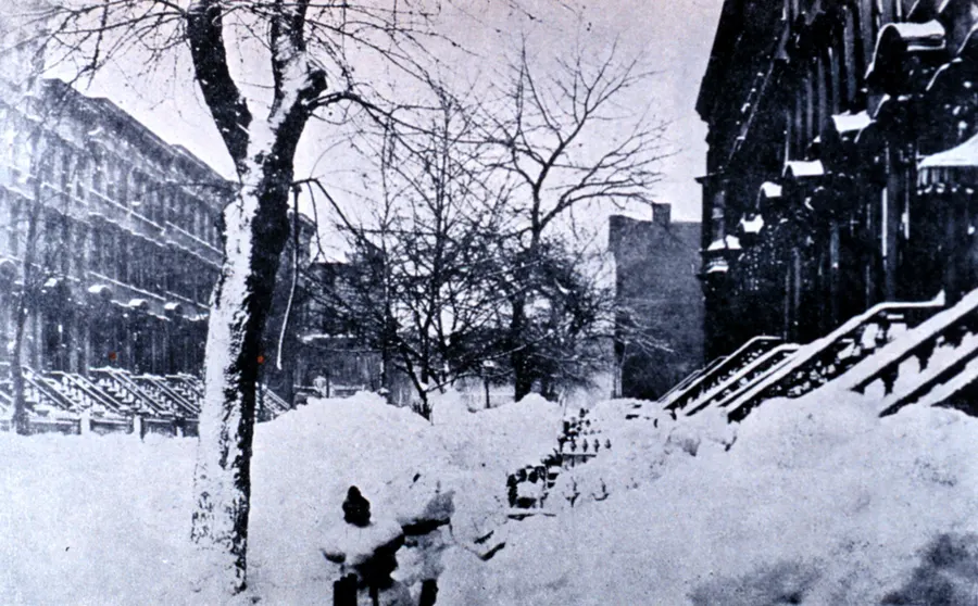 Park Place in Brooklyn after the blizzard, 14 March 1888.