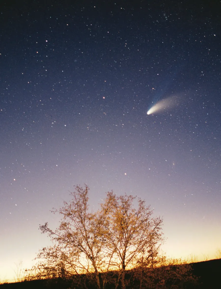 Comet Hale-Bopp above a tree near Pazin, Croatia, 29 March 1997.