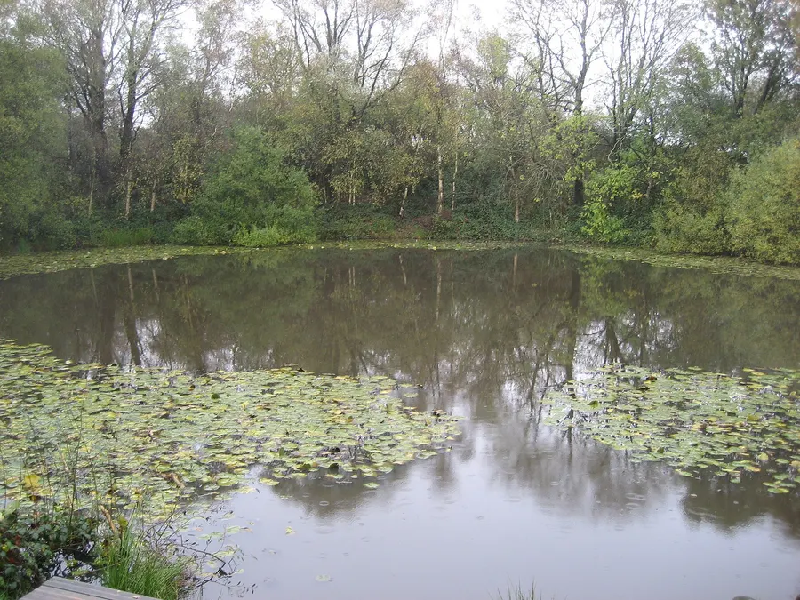 The Spanbroekmolen mine crater, now the Pool of Peace, left by the largest of the Messines mines
