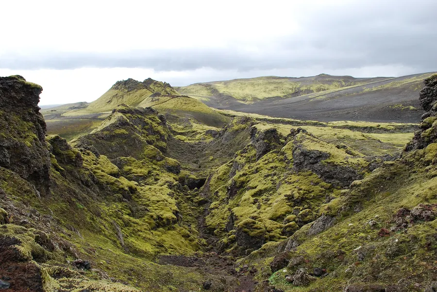 Moss-covered craters along the Laki fissure in southern Iceland