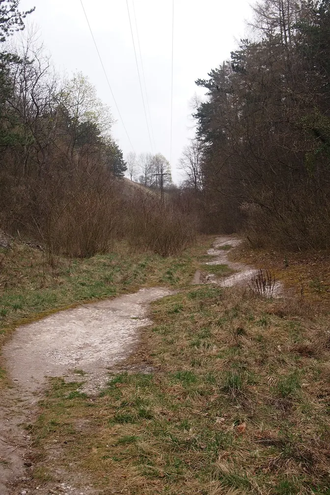 The Wuestes Kalktal valley near Bad Frankenhausen, where the battle was fought