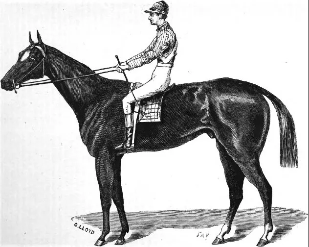 An engraving of Aristides, the colt that won the first Kentucky Derby
