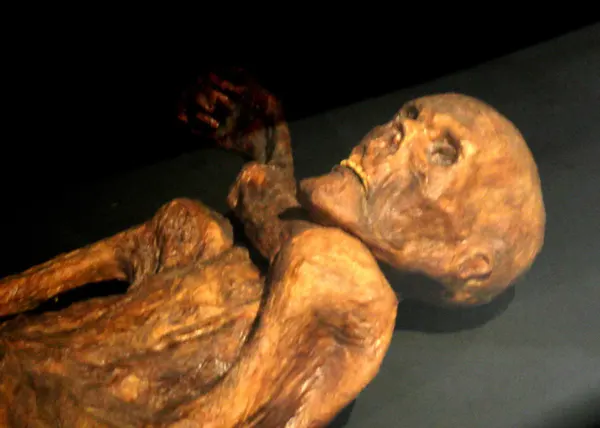 Ötzi the Iceman, the 5,300-year-old mummy found in the Alps