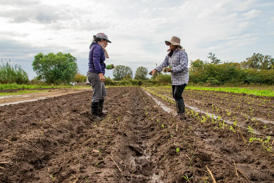 Women working the land on an agroecological smallholding.