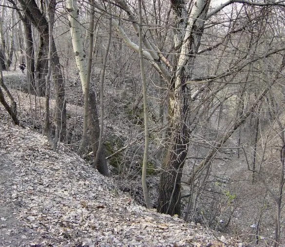 The ravine of Babyn Yar in Kyiv, photographed in 2003.